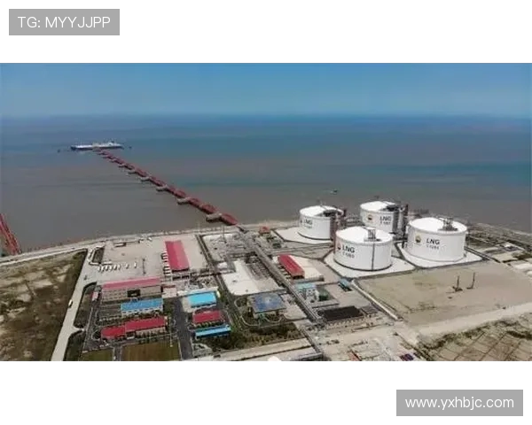 LNG在冠军杯中的表现分析与状态评估探讨