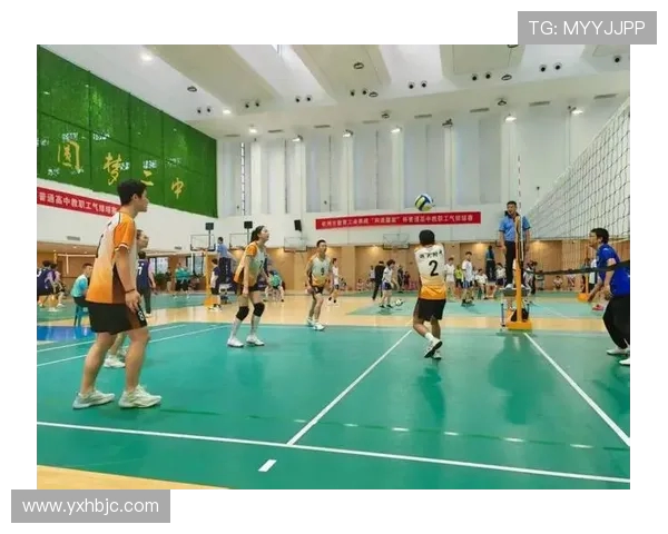 排球盛宴:深入解析杭州排球队的训练与竞技状态 排球盛宴:深入解析杭州排球队的训练与竞技状态