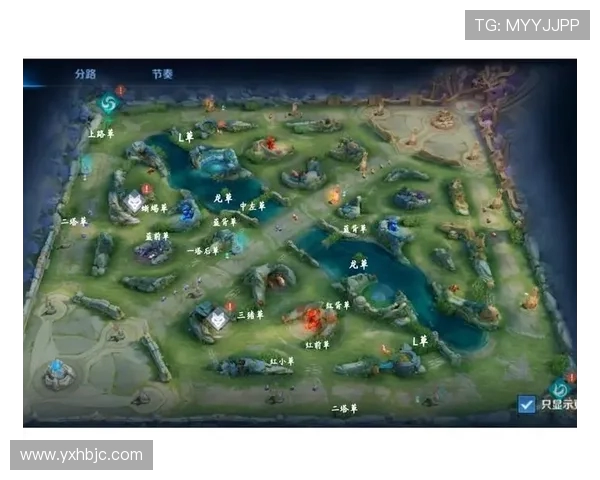 王者荣耀深度解析V5战队防守策略与战术布局的秘密 王者荣耀深度解析V5战队防守策略与战术布局的秘密