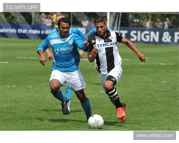 维拉与美洲狮的激烈对决谁能在这场比赛中脱颖而出