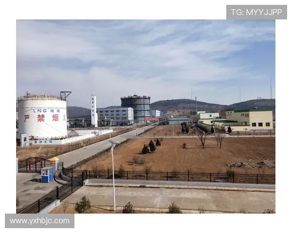 重磅专题：区域防守革新助力LNG产业发展新机遇与挑战分析