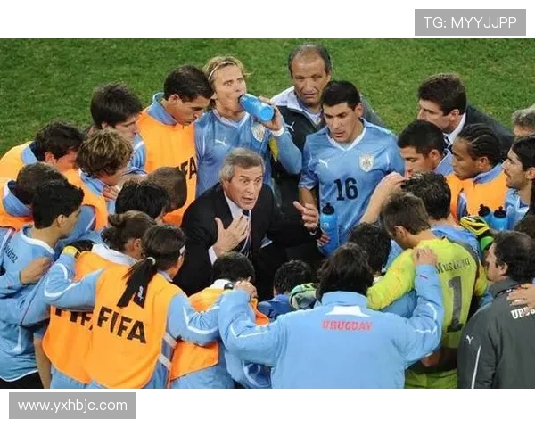 武汉足球队团队协作的成功经验与挑战分析